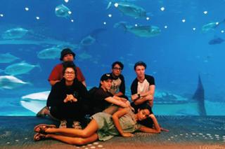 Laura Harrier feet photo thumbnail