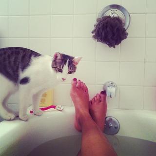 Laura Harrier feet photo thumbnail