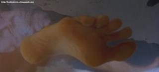 Laura Harring feet photo thumbnail