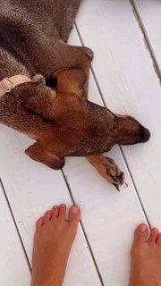 Laura Madrueño feet photo 2