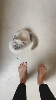 Laura Madrueño feet photo 3