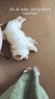 Laura Matamoros feet photo 11