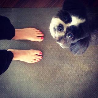 Laura Mennell feet photo 14