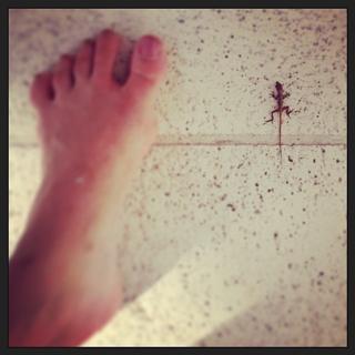 Laura Osnes feet photo 10