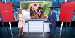 Laura Rutledge feet photo thumbnail