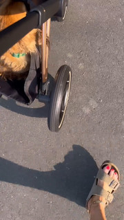 Laura Rutledge feet photo thumbnail