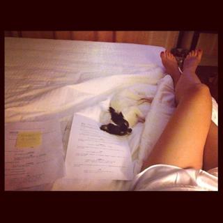 Laura Torrisi feet photo thumbnail