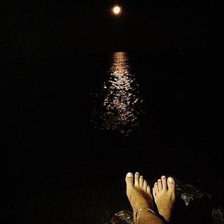 Laura Torrisi feet photo thumbnail