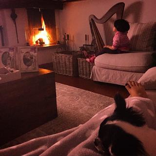 Laura Torrisi feet photo thumbnail