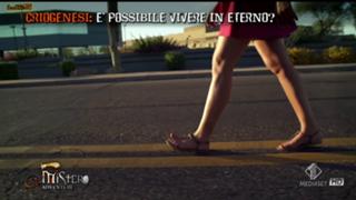Laura Torrisi feet photo thumbnail