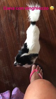 Laura Torrisi feet photo thumbnail