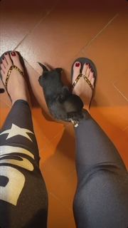Laura Torrisi feet photo thumbnail