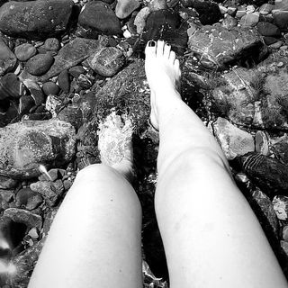 Laura Torrisi feet photo thumbnail