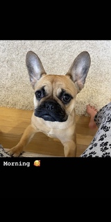 Laura Woods feet photo thumbnail