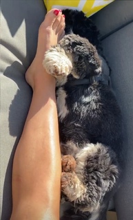 Laure Boulleau feet photo thumbnail