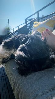 Laure Boulleau feet photo thumbnail