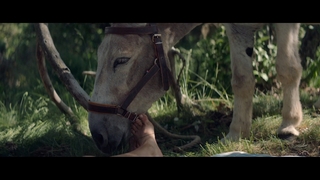 Laure Calamy feet photo 1