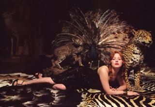 Lauren Ambrose feet photo thumbnail