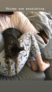 Lauren Ash feet photo 20