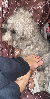 Lauren Francesca feet photo thumbnail