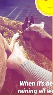 Lauren German feet photo thumbnail
