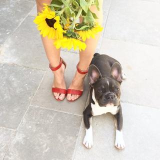 Lauren Gores feet photo 16