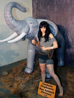 Lauren Gottlieb feet photo 5