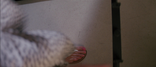 Lauren Holly feet photo thumbnail