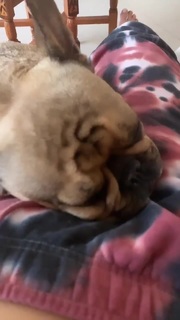 Lauren Jauregui feet photo thumbnail