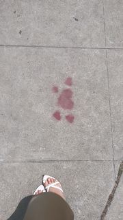 Lauren Jauregui feet photo thumbnail