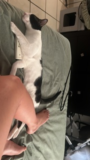 Lauren Jauregui feet photo thumbnail