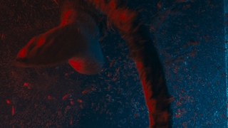 Lauren LaVera feet photo thumbnail