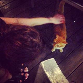 Lauren Mayberry feet photo thumbnail