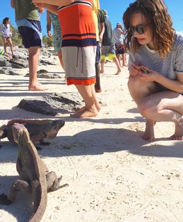 Lauren Mayberry feet photo thumbnail