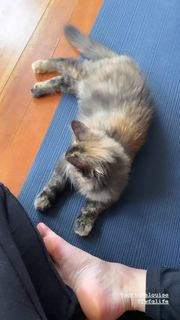 Lauren Mayberry feet photo thumbnail