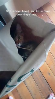 Lauren Mayberry feet photo thumbnail