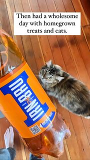 Lauren Mayberry feet photo thumbnail