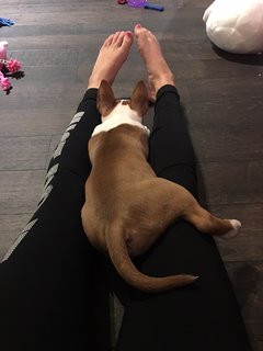 Lauren Riihimaki feet photo 20