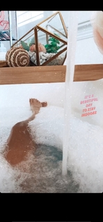 Lauren Riihimaki feet photo 7