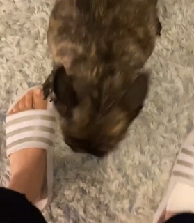 Lauren Williams feet photo 4