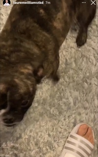 Lauren Williams feet photo 3
