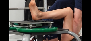 Lauren Williams feet photo 19