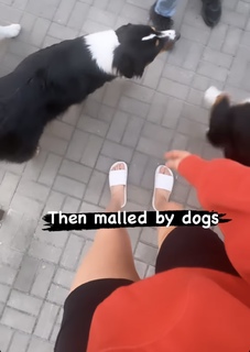 Lauren Williams feet photo 15