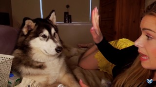 Lauren Woods feet photo 3