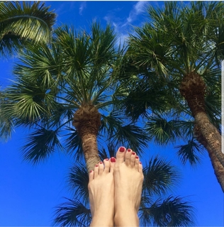 Laurie Dhue feet photo 2