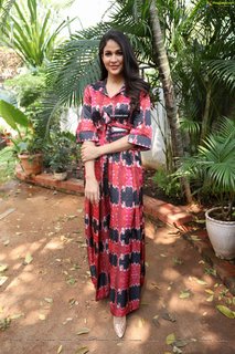 Lavanya Tripathi feet photo 7