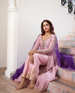Lavanya Tripathi feet photo 6