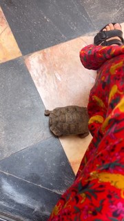 Laysla De Oliveira feet photo thumbnail