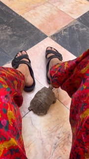 Laysla De Oliveira feet photo thumbnail