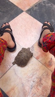 Laysla De Oliveira feet photo thumbnail